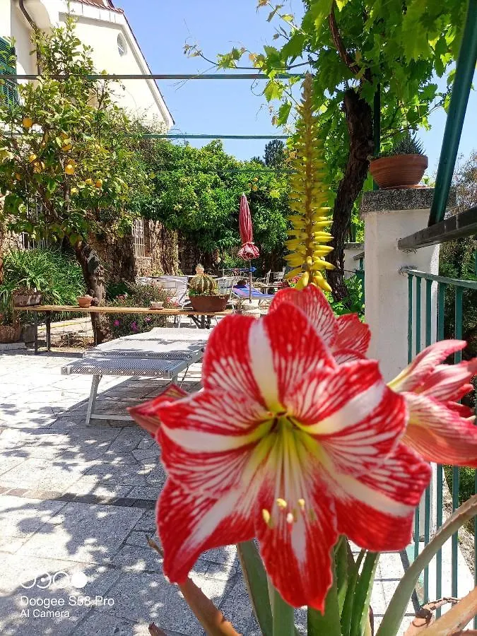 B&B Sopra Il Borgo Finale Ligure