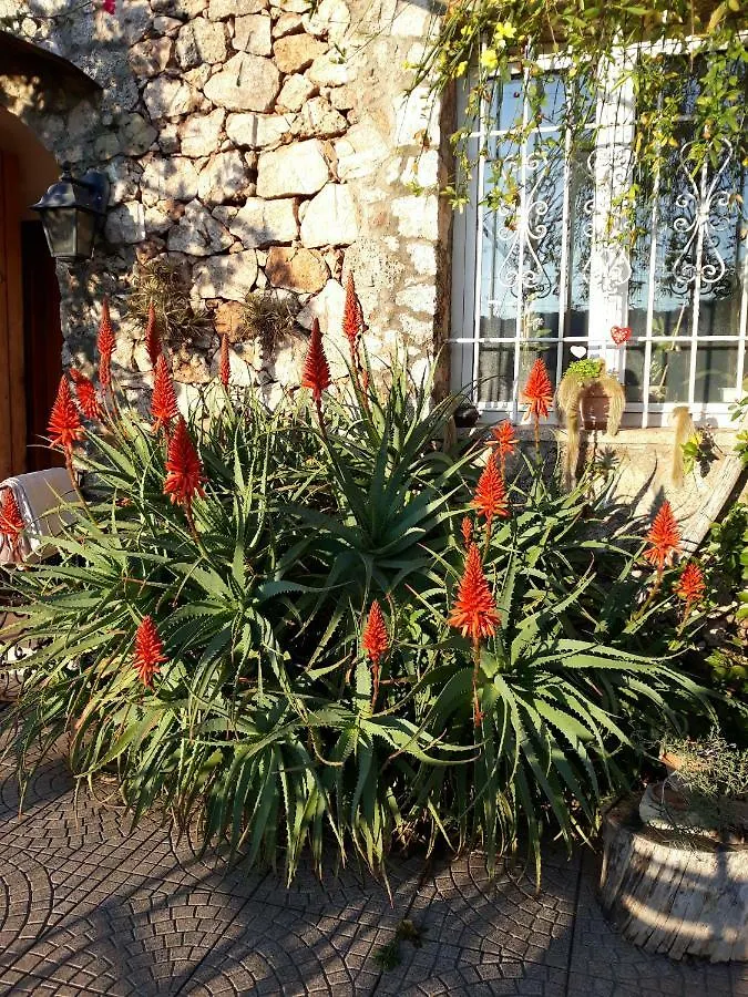 B&B Sopra Il Borgo Finale Ligure Bed & Breakfast