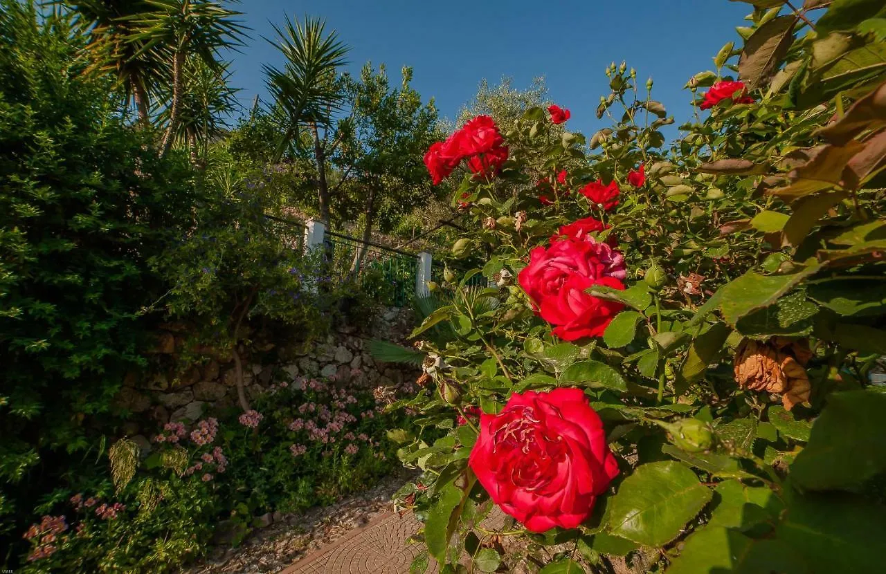 B&B Sopra Il Borgo Finale Ligure Bed & Breakfast